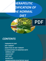 Therapeutic Diet