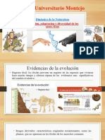 02 Evolución Darwin