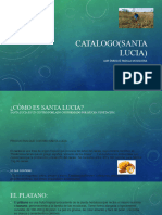 Catalogo (Santa Lucia)