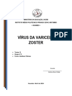 Trabalho de Microbiologia, Tema, Vírus Da Varicela Zoster, Grupo Nº 5, Turma 12.D Análises Clínicas