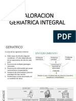 Valoracion Geriatrica Integral