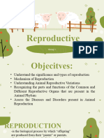 Reproductive System (Plants and Animals)