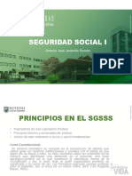 Principios Del Sgsss en Colombia