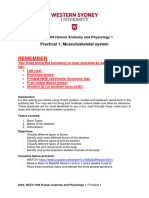 Practical 1 - Skeletal Anatomy(2)