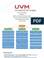 Mapa Conceptual de Hongos