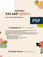 English - Ants and Spiders