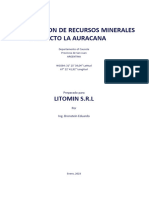 Final- Estimacion de Recursos Minerales La Auracana 2024