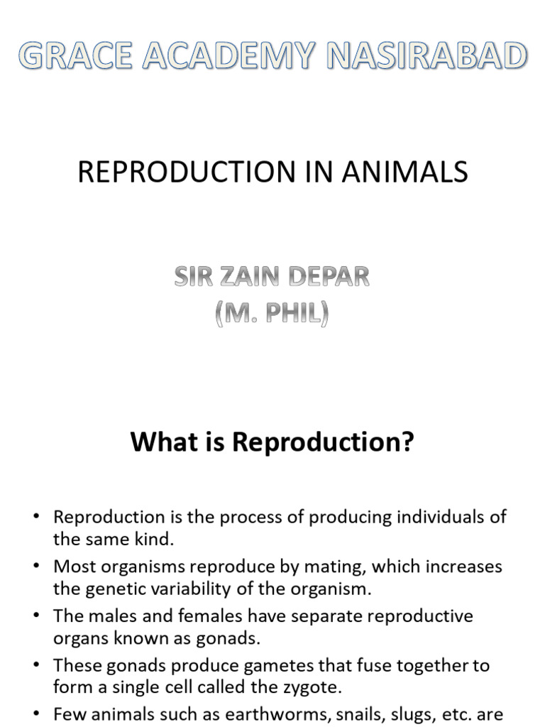 Reproduction in Animals | PDF | Menstrual Cycle | Luteinizing Hormone