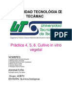 Practica 4 Cultivo in Vitro