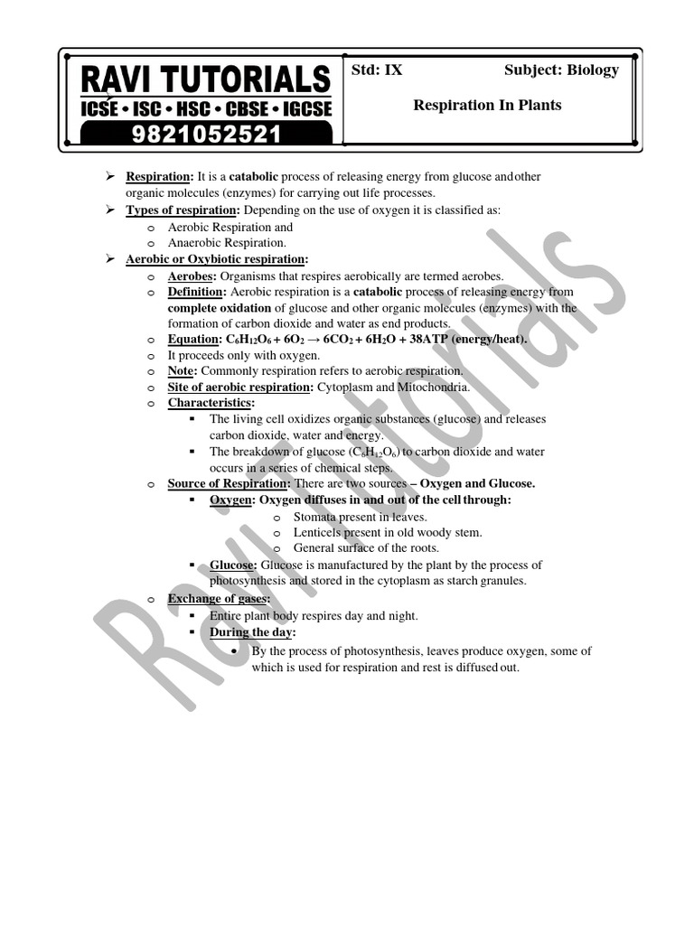 06 - BIO IX ICSE Respiration in Plants | PDF | Cellular Respiration ...