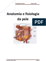 Anatomia e Fisiologia da pele em