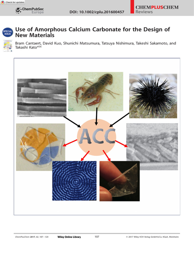 Use of AmorphousCalciumCarbonatefor The DesignofNewMaterials | PDF ...
