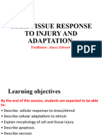 2.0 Cell Response To Injury &adaptations