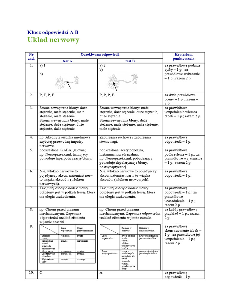Test Uklad Nerwowy Wersja 2 Klucz Odpowiedzi | PDF