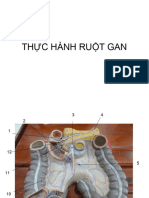 TH C Hành Ru T Gan