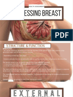 Assessing Breast