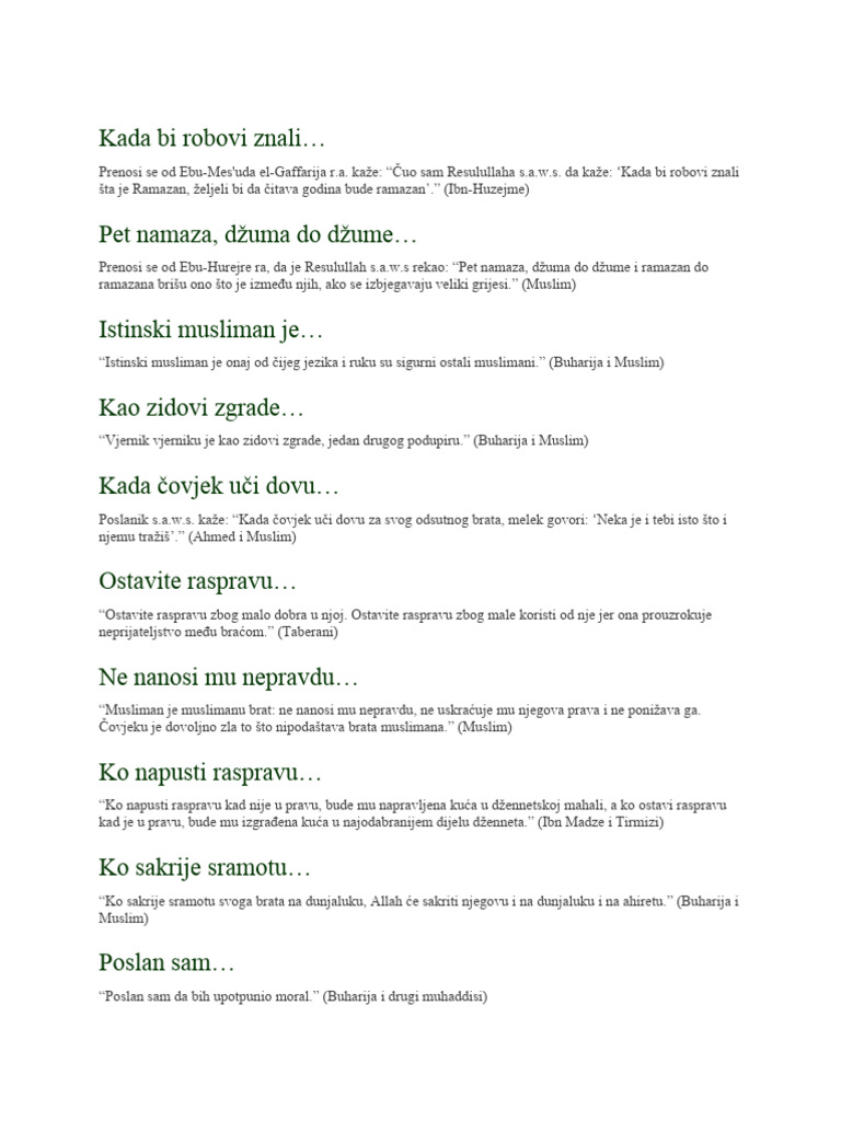 Kada Bi Robovi Znali | PDF