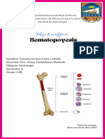 Hematopoyesis