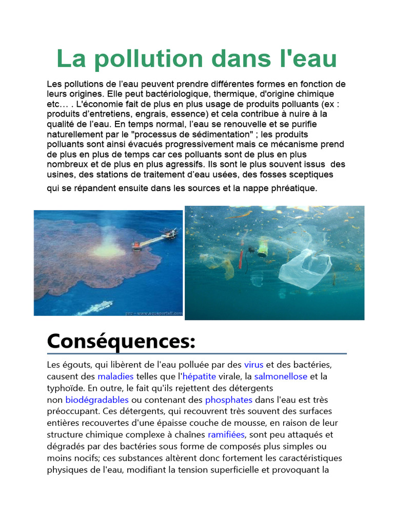 Pollution de l'eau : enjeux et dangers | PDF | la pollution | Pollution ...