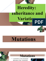 3 5 3 Heredity and Inheritance (Mutation)