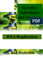 3 5 2 Heredity and Inheritance (DNA Replication)