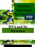 3 5 1 Heredity and Inheritance (DNA RNA)