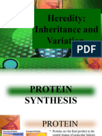 3 5 4 Heredity and Inheritance (Protein Synthesis)