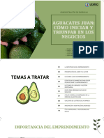 Aguacate Juan, Diapositiva Del Grupo