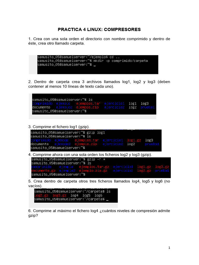 Práctica de Compresión en Linux | PDF | Zip (formato de archivo ...