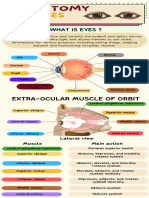 Infographic of Eye Anatomy