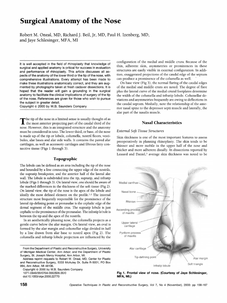2.surgical Anatomy of The Nose | Download Free PDF | Human Nose ...