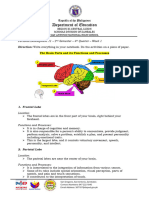 Week 1 Per Dev Brain Functions and Process