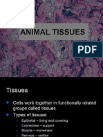 Genbio1 Unit1 Chapter2 (Animal Cells) 1