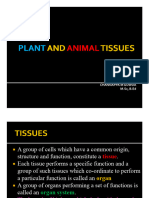 Plants and Animal Tissue