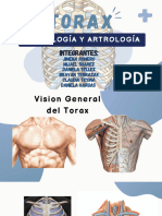 Osteoartrologia Del TORAX