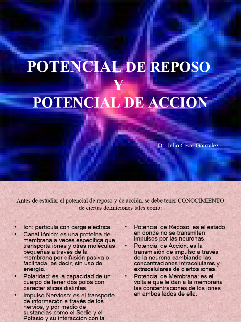 Potenciales de Reposo y Acción Neuronal | PDF | Potencial de acción ...