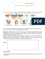 Clasificacion de Plantas. 2