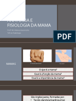 Anatomia Da Mama