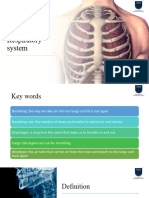 Respiratory System