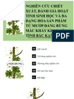 Nghiên Cứu Chiết Xuất, Đánh Giá Hoạt Tính Sinh Học Và Đa Dạng Hóa Sản Phẩm Từ Mướp Đắng Rừng Mắc Kháy Khau Của Tỉnh Bắc Kạn