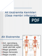 6-Alt Extremite Kemikleri