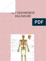 7-Alt Extremite Eklemleri