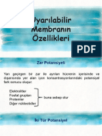 TF 3 UyarılabilirMembraninOzellikleri