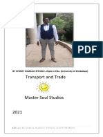 Topic 6 Transport and Trade
