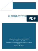 Human Body System