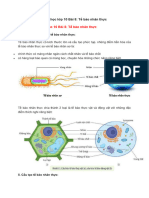 Sinh học lớp 10 Bài 8