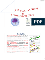Gene Regulation, Transposon N Genetic Variation