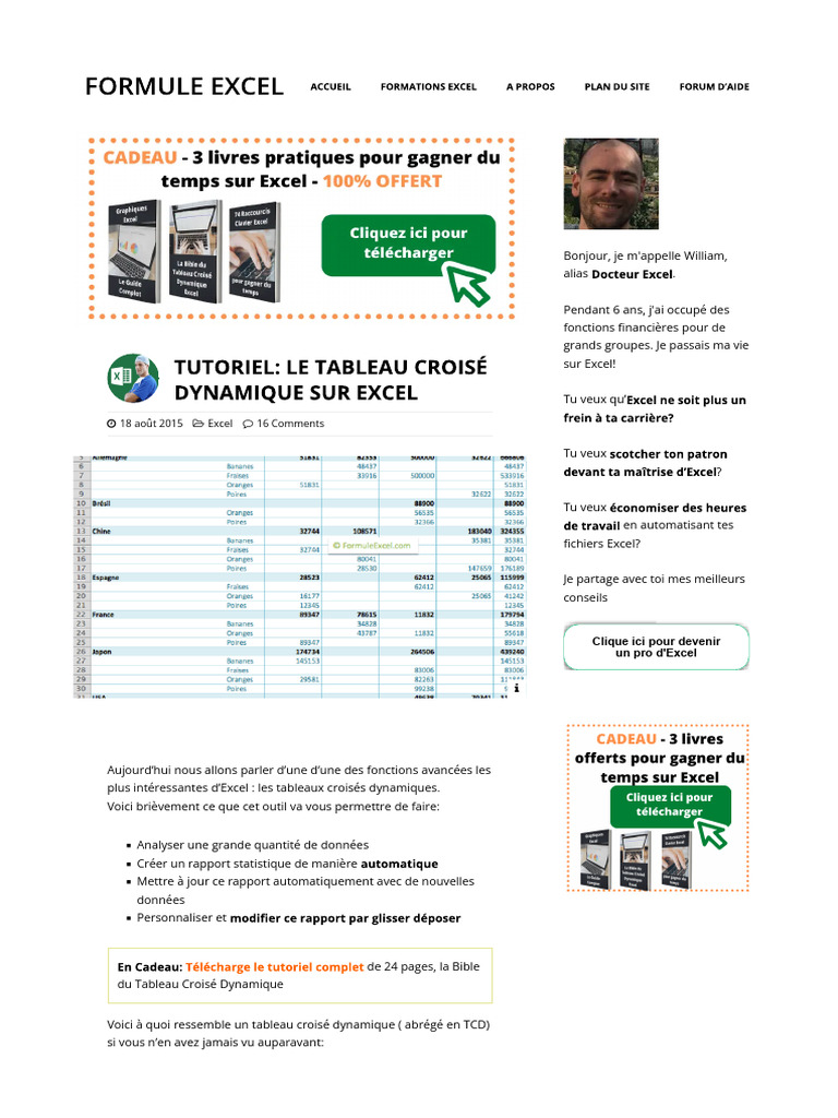 Tutoriel TCD Excel : Guide Complet | PDF | Microsoft Excel | Gestion ...