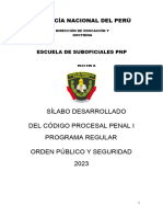 Sillabus Derecho Proc - Penal I-2023