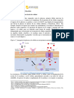 Situación Problema 1 + Notas para Resolverla